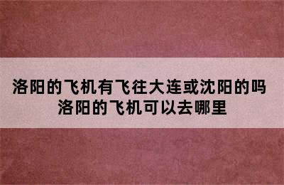 洛阳的飞机有飞往大连或沈阳的吗 洛阳的飞机可以去哪里